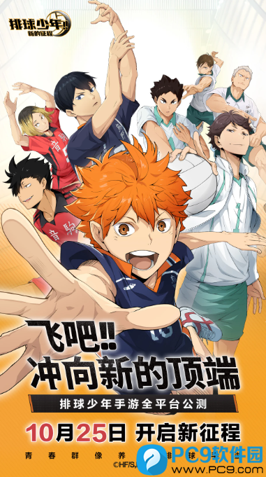 排球少年:新的征程